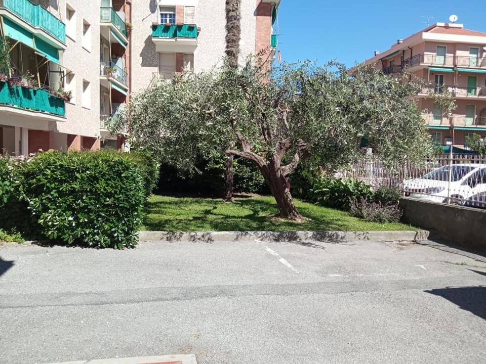 Nonna Pella Appartamenti - Corbezzolo Pietra Ligure Zimmer foto